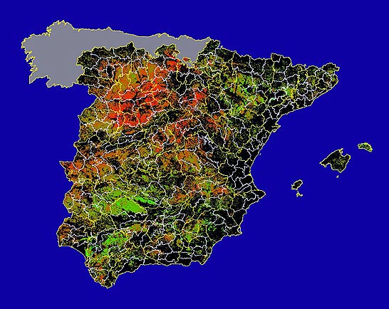 Imagen de Diferencias NDVI: Comparativa entre los índices de vegetación del mes de Enero del año actual y los de la media histórica