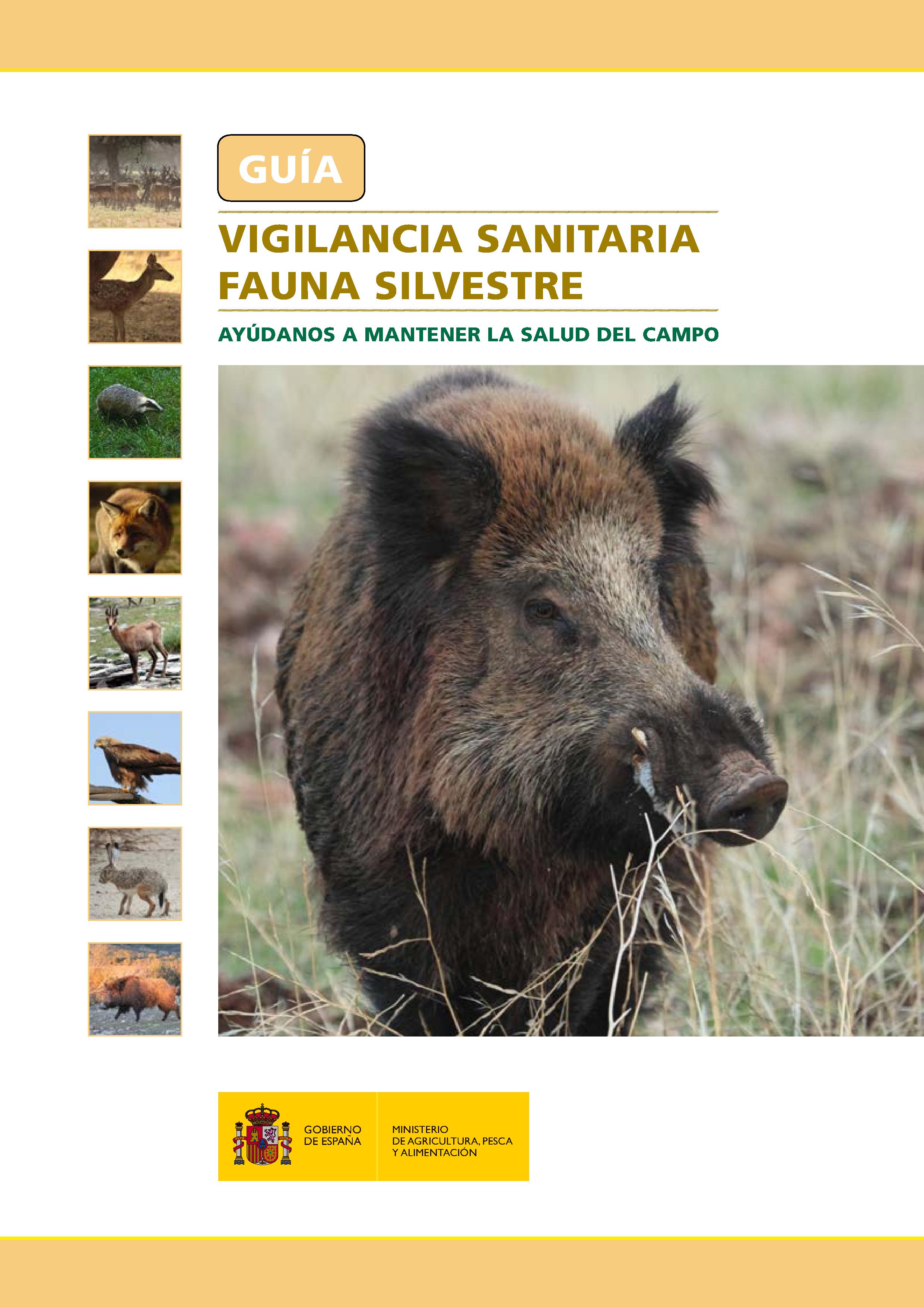 Guía de vigilancia sanitaria de fauna silvestre