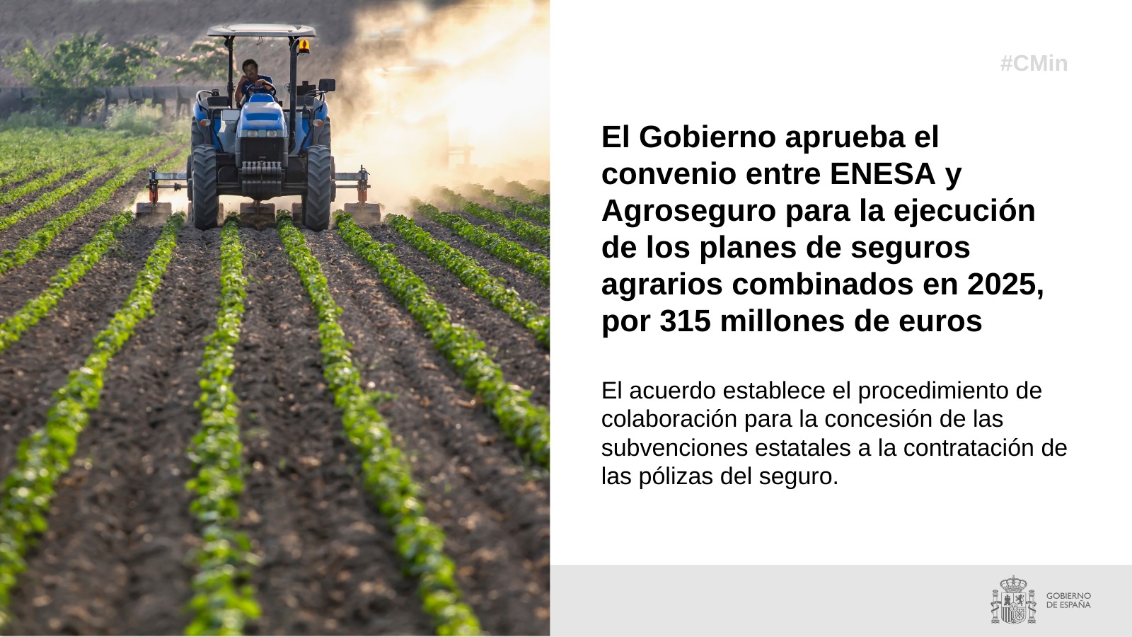 
				
			
				Hoy, en Consejo de Ministros
			
				
