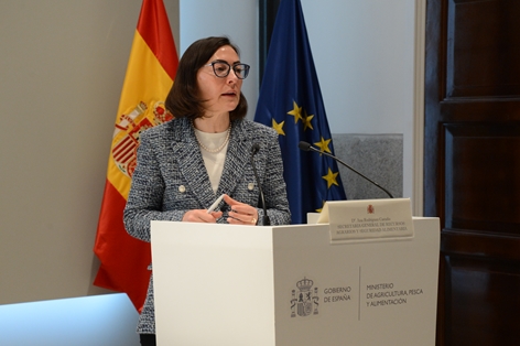 Hoy, en Madrid, en una jornada para analizar este tipo de proyectos  foto 2
