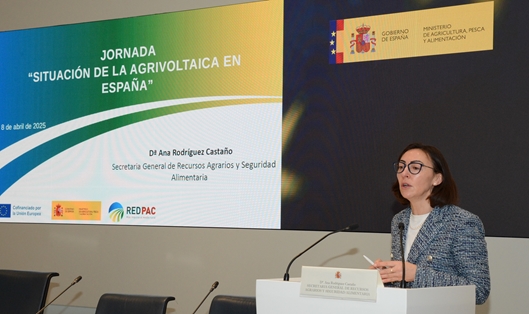 Hoy, en Madrid, en una jornada para analizar este tipo de proyectos  