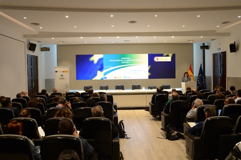 Hoy, en Madrid, en una jornada para analizar este tipo de proyectos  foto 3
