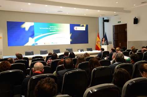 Hoy, en Madrid, en una jornada para analizar este tipo de proyectos  foto 4