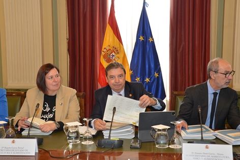 Hoy, en Conferencia Sectorial foto 3