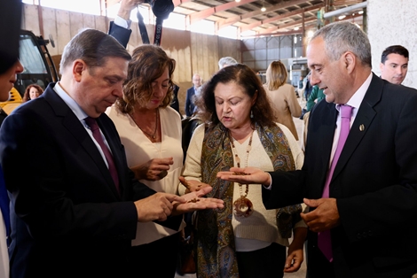 Hoy, en una visita a Mallorca  foto 6
