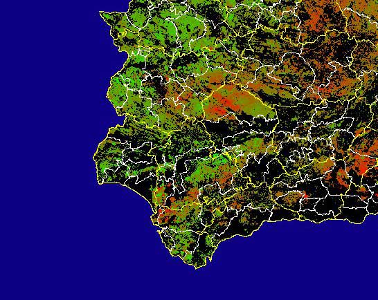 Imagen de Diferencias NDVI: Comparativa entre los índices de vegetación del mes de Enero del año actual y los de la media histórica - Suroeste