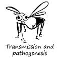 Transmisión y patogénesis
