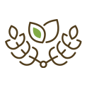 Formación ofertada por Colegios Profesionales