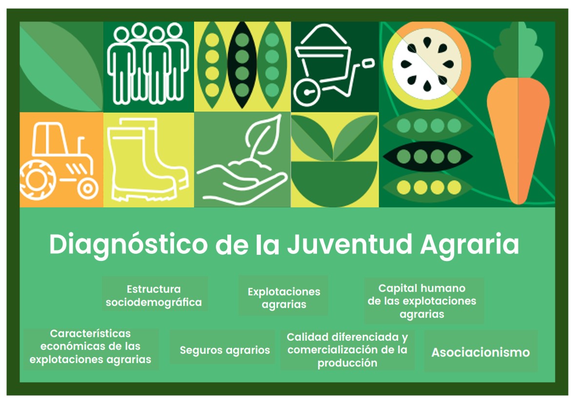 Ilustración de la portada del Diagnóstico de la juventud agraria, con los contenidos principales: estructura sociodemográfica, explotaciones agrarias, capital humano de las explotaciones agrarias, características económicas de las explotaciones agrarias, seguros agrarios, calidad diferenciada y comercialización de la producción y asociacionismo.