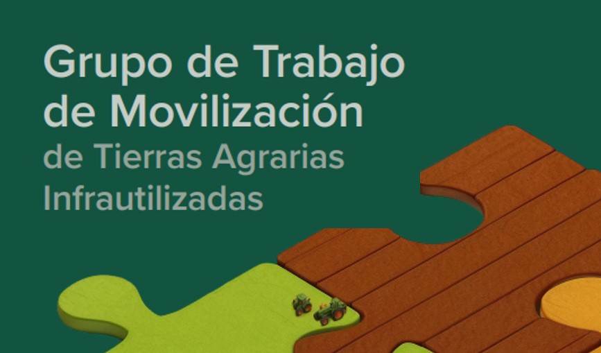 Documento de síntesis del Grupo de Trabajo de Movilización de Tierras Agrarias Infrautilizadas