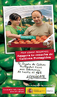 Folleto del seguro de cultivos protegidos 2006