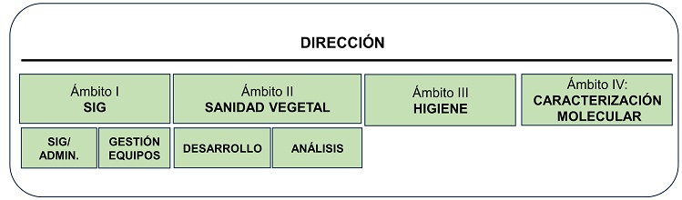 organigrama LNSV