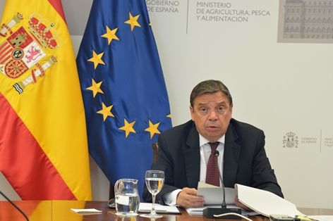 Hoy, en sesión celebrada por videoconferencia foto 2
