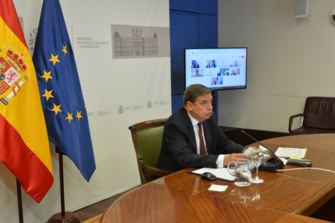 Hoy, en sesión celebrada por videoconferencia foto 3