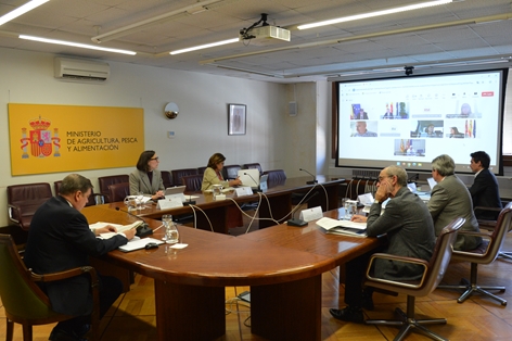 Hoy, en sesión celebrada por videoconferencia foto 4
