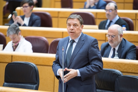 Hoy, en la sesión de control en el Senado foto 2