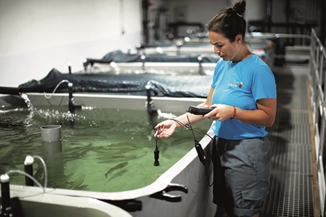 Trabajadora en instalaciones de acuicultura continental para el cultivo en tierra en San Pedro del Pinatar