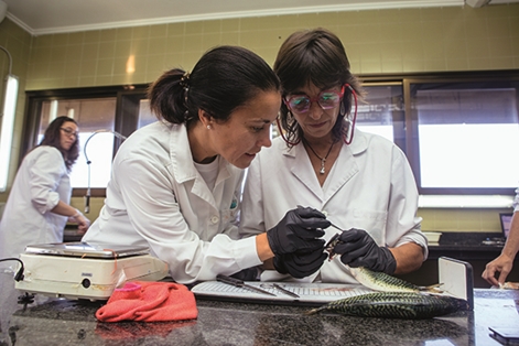 Investigadoras del Instituto Oceanográfico de Vigo (IEO)