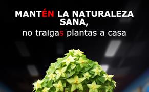 
				
			
				#PlantHealth4Life amplía su alcance y cuenta ya con la participación de 32 países
			
				