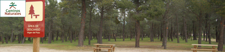 Camino Natural del Valle del Eresma. Tramo estación de Yanguas-Carbonero a Nava de la Asunción