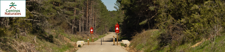 CN Santander-Mediterráneo. Tramo Hontoria del Pinar-San Leonardo de Yagüe