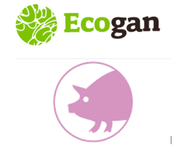 ECOGAN-MTDs