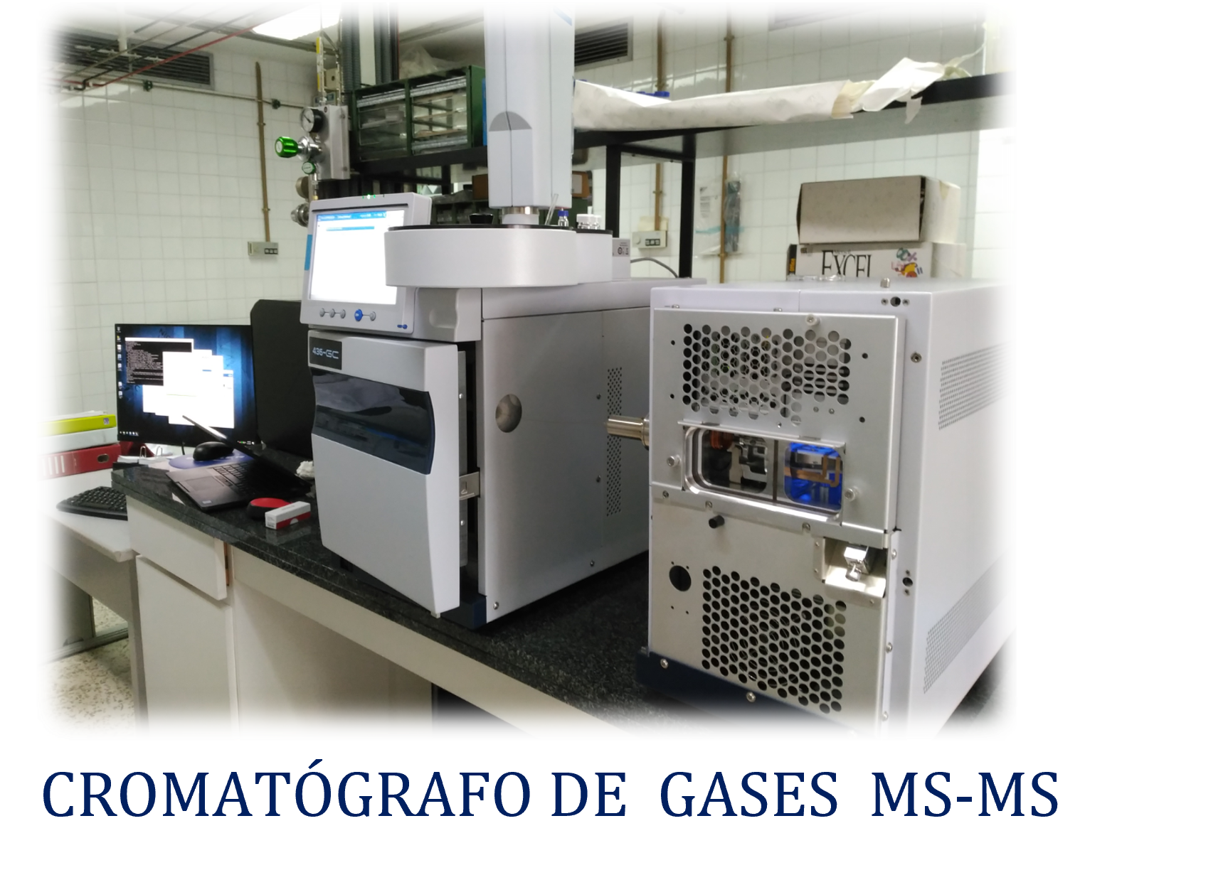 Cromatógrafo de gases MS-MS