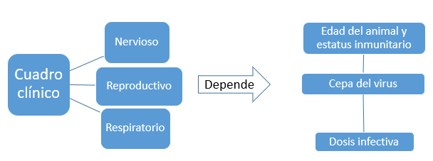 Cuadro clínico