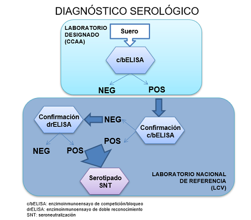 diagnóstico serológico