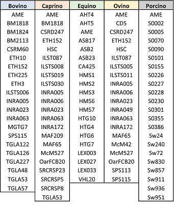 listado marcadores SSR