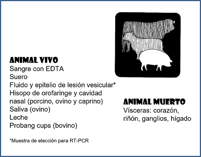 Muestras para diagnóstico