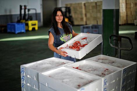 Trabajadora en la lonja de Carboneras