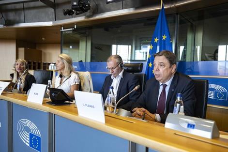Hoy, en la Comisión de Agricultura y Desarrollo Rural del Parlamento Europeo, en Bruselas  foto 3