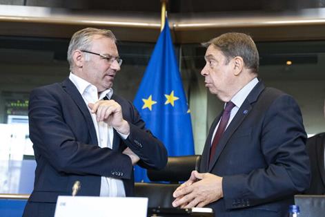 Hoy, en la Comisión de Agricultura y Desarrollo Rural del Parlamento Europeo, en Bruselas  foto 5