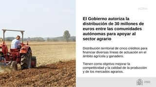 
				
			
				Hoy, en Consejo de Ministros
			
				
