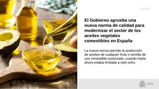 
				
			
				Hoy, en Consejo de Ministros
			
				