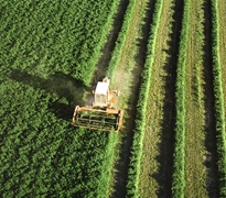 
				Maquinaria en el campo 
			
				
			
				