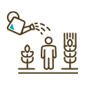 Plan de Formación