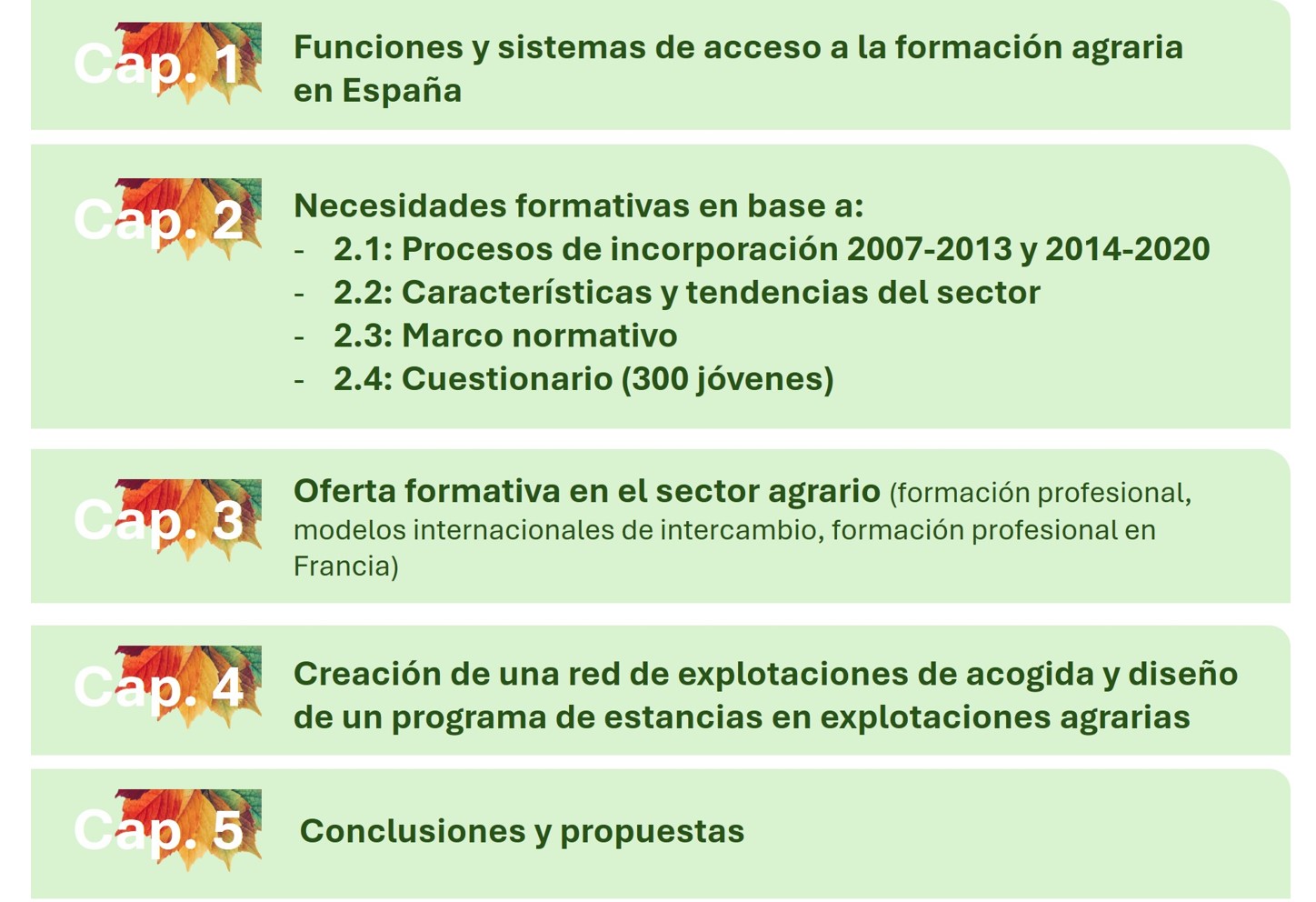 Ilustración del contenido del Estudio de Necesidades Formativas del Medio Rural estructurado en 5 capítulos que son los siguientes. Capítulo 1: Funciones y sistemas de acceso a la formación agraria en España. Capítulo 2: Necesidades formativas en base a procesos de incorporación 2007-2013 y 2014-2020, características y tendencias del sector, marco normativo y un cuestionario a 300 jóvenes. Capítulo 3: Oferta formativa en el sector agrario. Capítulo 4: Creación de una red de explotaciones de acogida y diseño de un programa de estancias en explotaciones agrarias. Capítulo 5: Conclusiones y propuestas. 