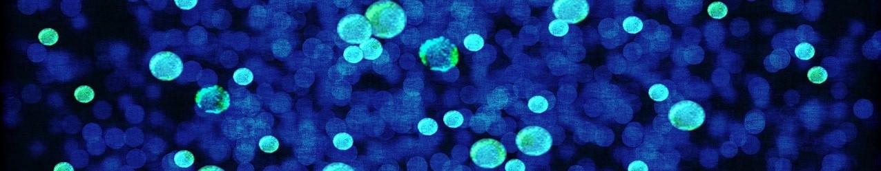 bacterias 2