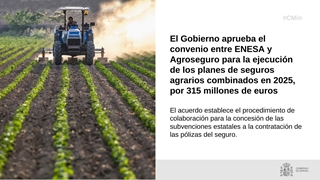 
				
			
				Hoy, en Consejo de Ministros
			
				