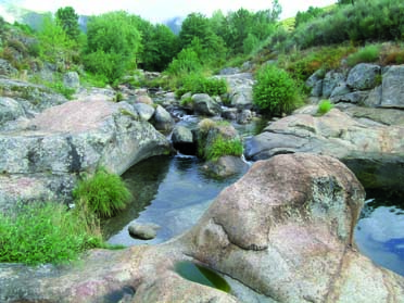 CN río Rivera de Acebo