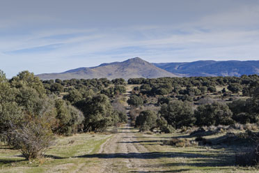 Camino Natural Cañada Real Soriana Occidental