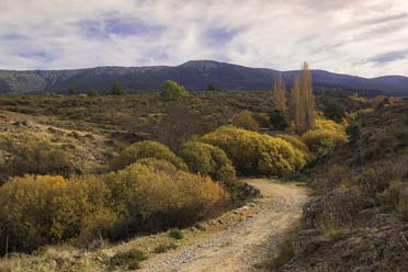 Guía de la Cañada Real Soriana Occidental