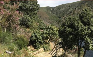 Camino Natural de río Rivera de Acebo