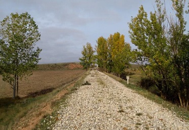 Vista actual del trazado abandonado del antiguo ferrocarril Santander Mediterráneo