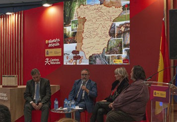 Mesa redonda 