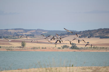 Camino Natural del Júcar