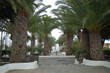 Camino Natural de Órzola a Playa Blanca