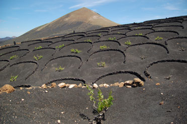 Camino Natural de Órzola a Playa Blanca